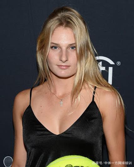 式宣布退役 式宣布退役