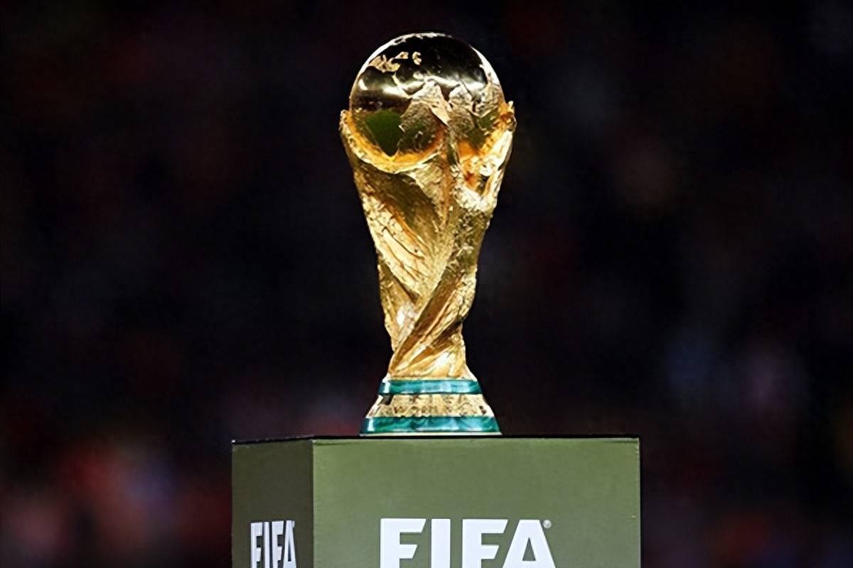 科波拉的传 科波拉的传