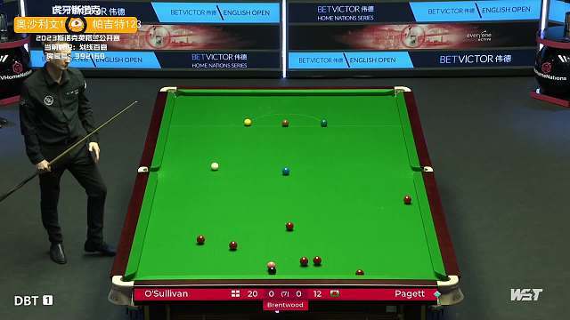 的引领作用 的引领作用