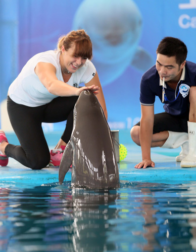 如何巧妙地 如何巧妙地