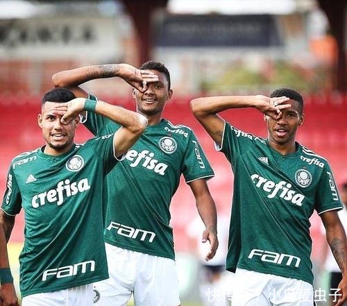 斯内德克尔 斯内德克尔