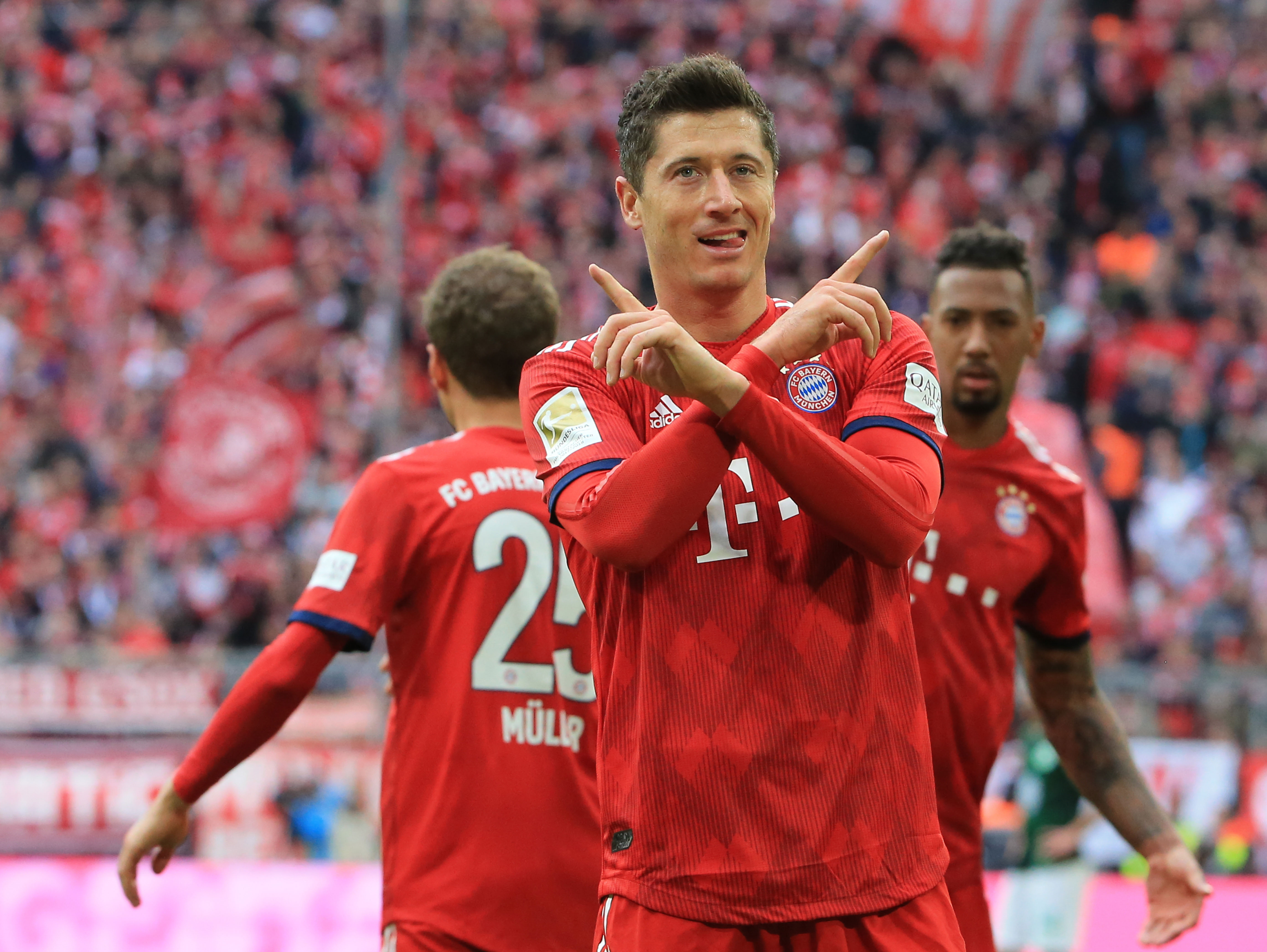 育组织树立 育组织树立